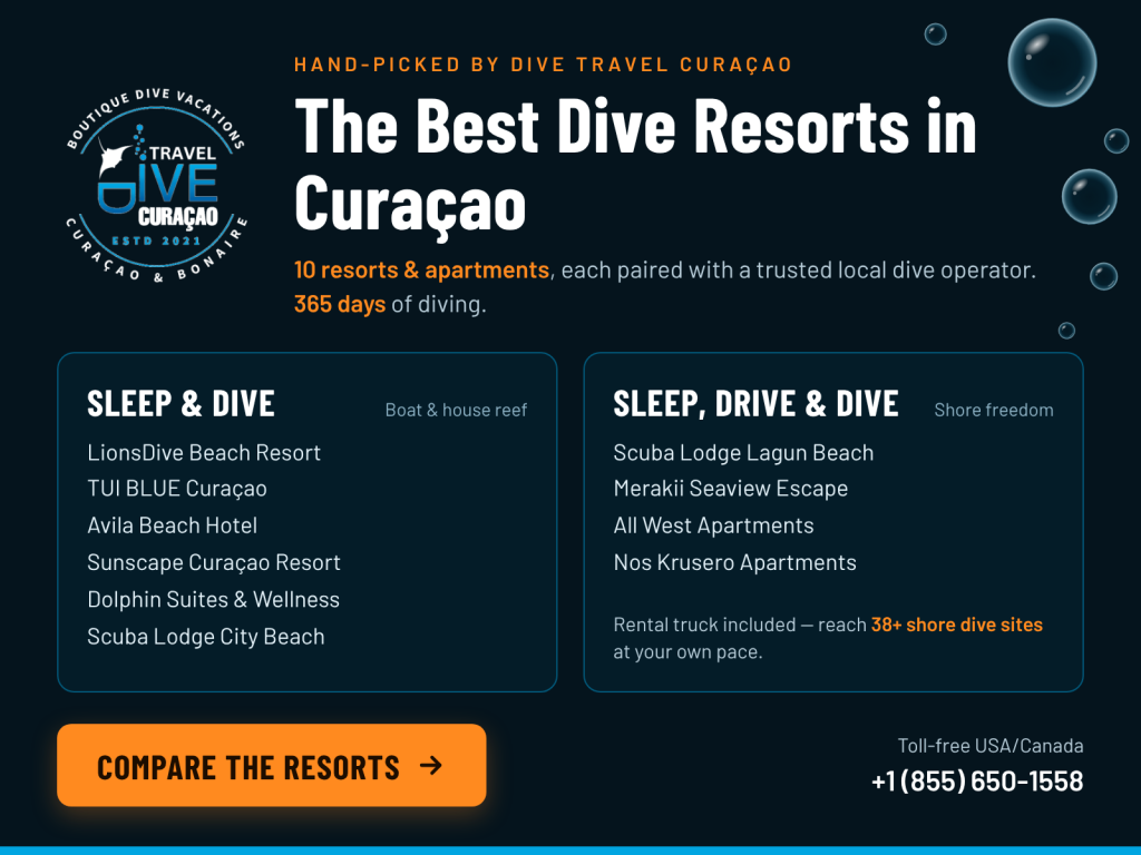 Start planning your Curaçao dive vacation by exploring our complete Best Dive Resorts in Curaçao guide to compare all ten of our recommended properties side by side — location, dive partner, package pricing, and which style of diver each one suits best.