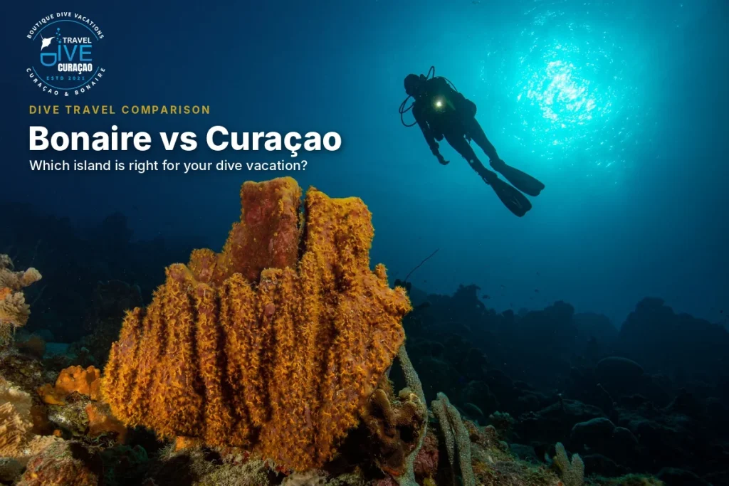 Bonaire vs Curaçao for your next dive trip: shore vs. boat diving, reefs, wrecks, non-diver fit and twin-island tips from local dive travel experts.