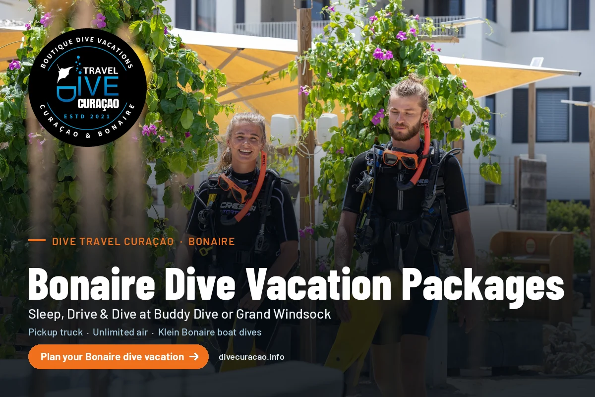 This Bonaire Dive Vacation Guide is the starting point. Dive Travel Curaçao turns it into a booked trip at Buddy Dive Resort or Grand Windsock Dive & Beach Resort, with a truck, unlimited air or nitrox, and on-island support, and we can combine Bonaire with Curaçao in one itinerary.