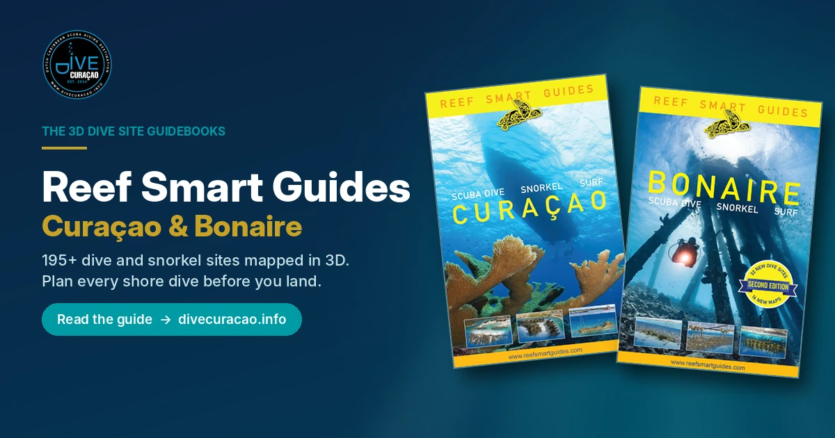 Reef Smart Guides map 195+ Curaçao and Bonaire dive and snorkel sites in 3D. See what's inside each guide, where to buy, and how to plan a trip.